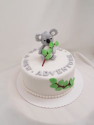 Koala Torte
